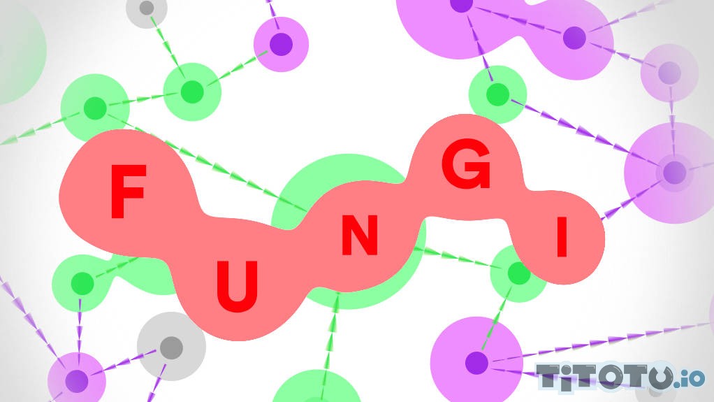 Fungi io — Play for free at Titotu.io