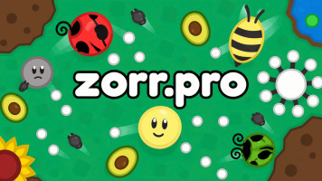 Zorr io