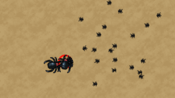 Ant Colony New War 