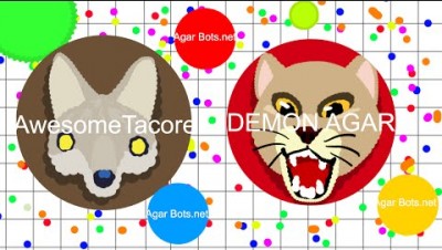 Agar.io END THE BOTS!!! Teaming With Tacore Agar.io