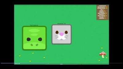 ANOMAL.IO GANHANDO COM O GATINHO SELVAGEM.