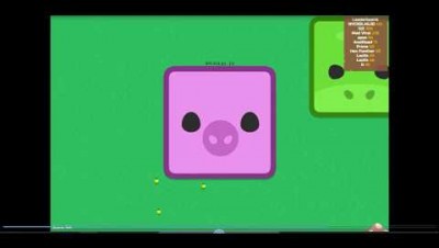 ANOMAL.IO O PORQUINHO VENCEDOR.