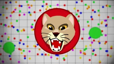 Awesome Team Gameplay | Agar io