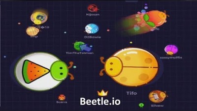 Beetle.io Big Beetle (New .io Game)
