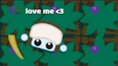 BIGGEST BASE BUILT ALONE & COVERING THE POND (STARVE IO)