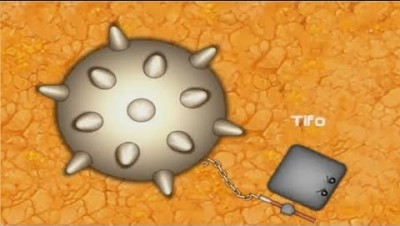 Booms.io First Place A Huge Ball