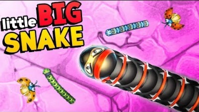 Игра Змейка. LITTLE BIG SNAKE. IO.Edkubb game.