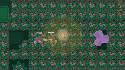 LEGACY LOVE IN BIG BERRY FARM | Starve.io