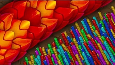 LITTLE BIG SNAKE ЧИТ СКИН! ЛОВУШКА ДЛЯ ЗМЕЙ LITTLEBIGSNAKE.IO! IO ИГРЫ SLITHERIO И WORMAX.IO