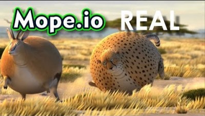 Mope.io - ANIMAIS REALISTAS - Vídeo engraçado