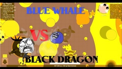 Mope.io // Blue whale killing a black dragon // New mope.io update