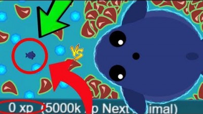 MOPE.IO *MINI* BLUE WHALE vs ALL ANIMALS! TROLLING TAIL BITE KILLS & BEST MOMENTS (Mope.io Gameplay)