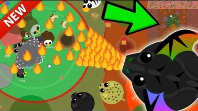 Mope.io NEW BATTLE ROYALE GAME MODE! i FIGHT A HACKER/DEVELOPER WINS & GLITCHES (Mopeio Beta Update)