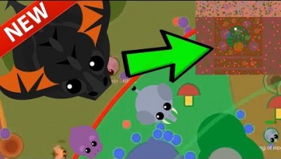 Mope.io NEW *BATTLE ROYALE* GAME MODE SOON! UPDATE RARE NEW ANIMALS JAGUAR OUT NOW (Mopeio Gameplay)
