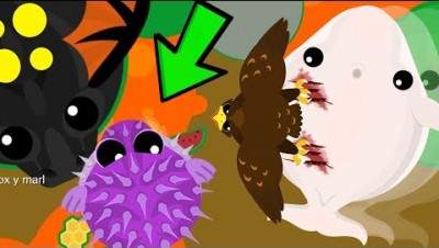 Mope.io Hack  Mope io Mods and Unblocked