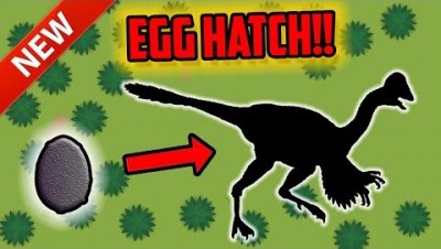 NEW EGG HATCHED!! Raids.io  FEATHERY CREATURE Update!