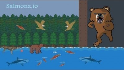 Salmonz.io All Stages