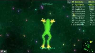 Second place all time record! - The Series - Frogar.io