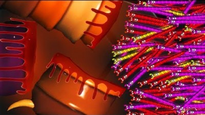 SMALLEST WORM BITES TROUGH BIGGEST SNAKE EVER MADE? (BUILD YOUR TINY SNAKE ARMY) l Sworm.io Update