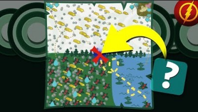 Starve.io - I did not find it...