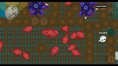 Starve.io // OCEAN ZOO // Trapping Krakens and pirannah