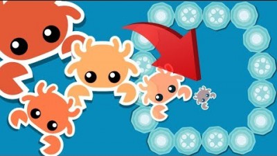 Starve.io - The Crab's House Making