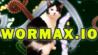 вОРМАКС С лЕНОЙ►►Wormax.io