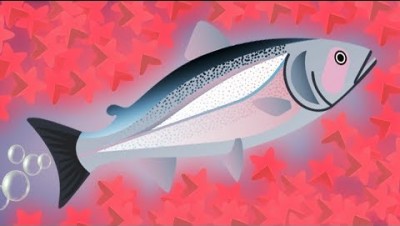 WORLD'S BIGGEST FISH EVER RECORDED! (HOW TO WIN EVERY STAGE) l Salmonz.io New Update